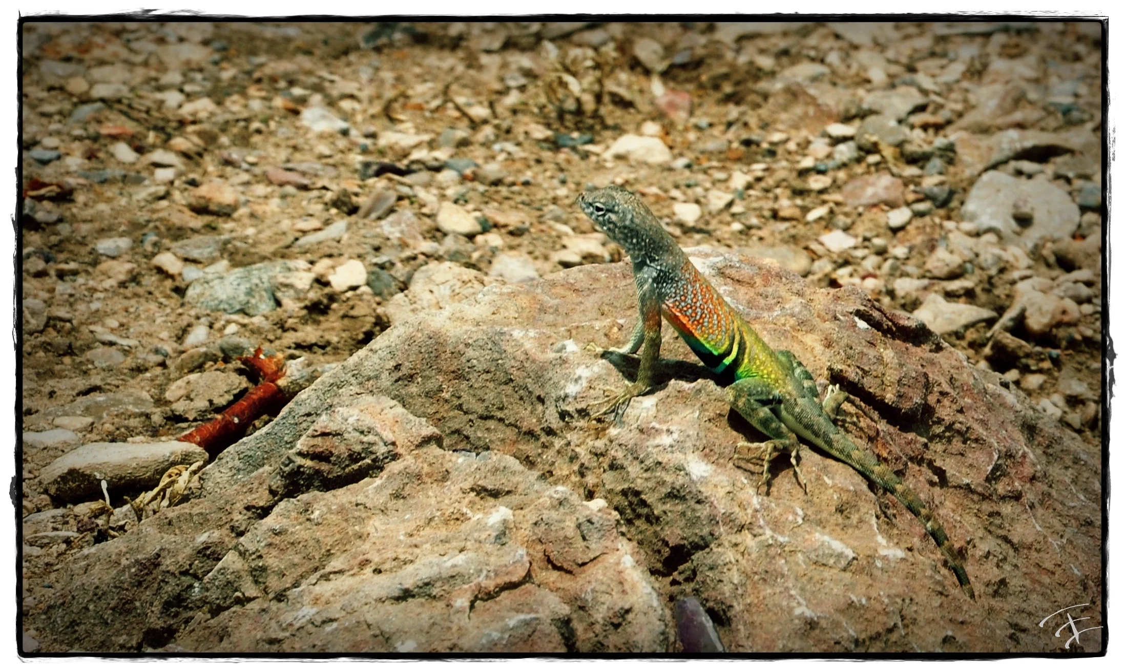 Travel photography by Treavor Evans — Cabra Borracha