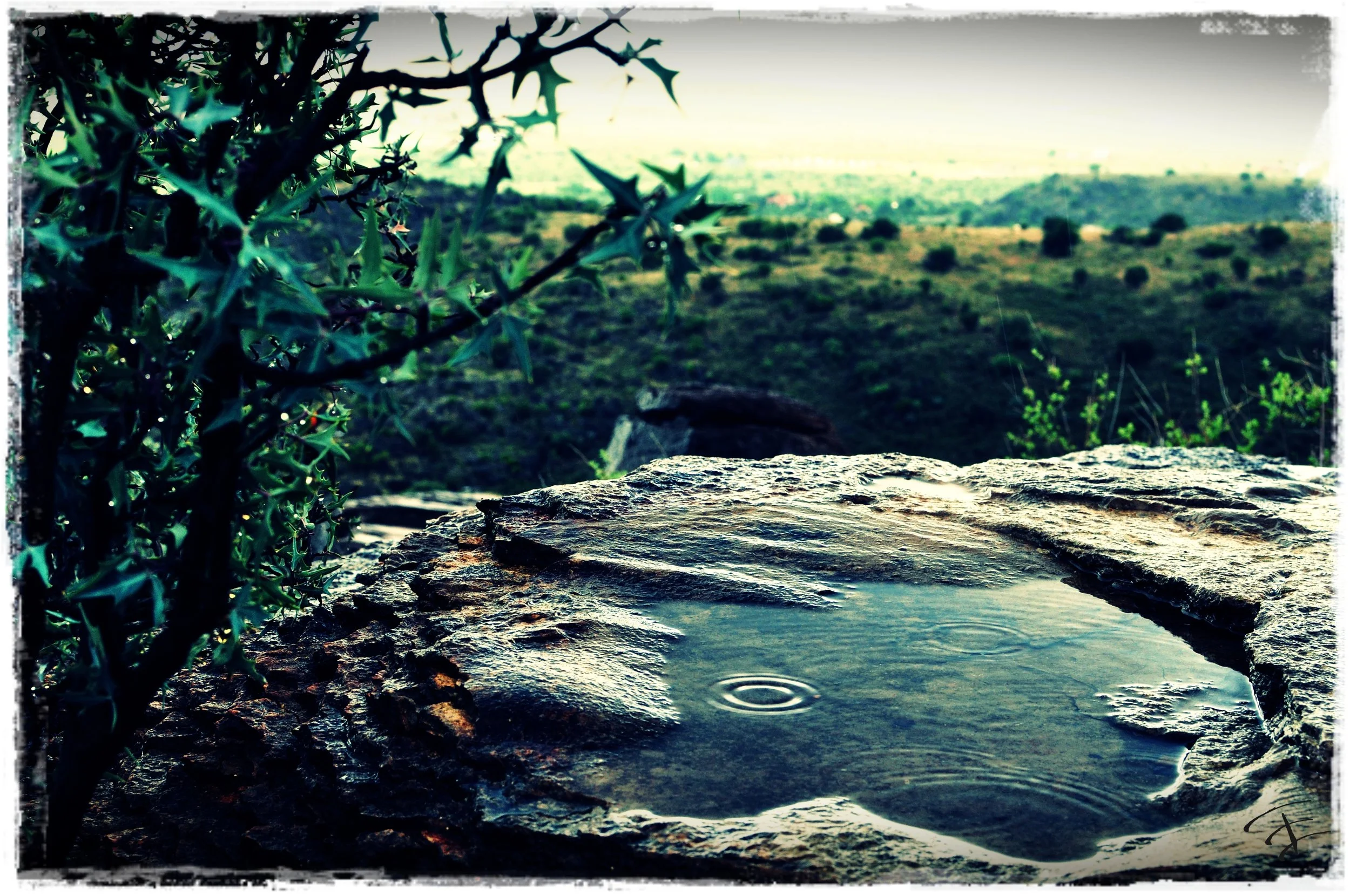 Outdoor photography by Treavor Evans — Manvel Texas