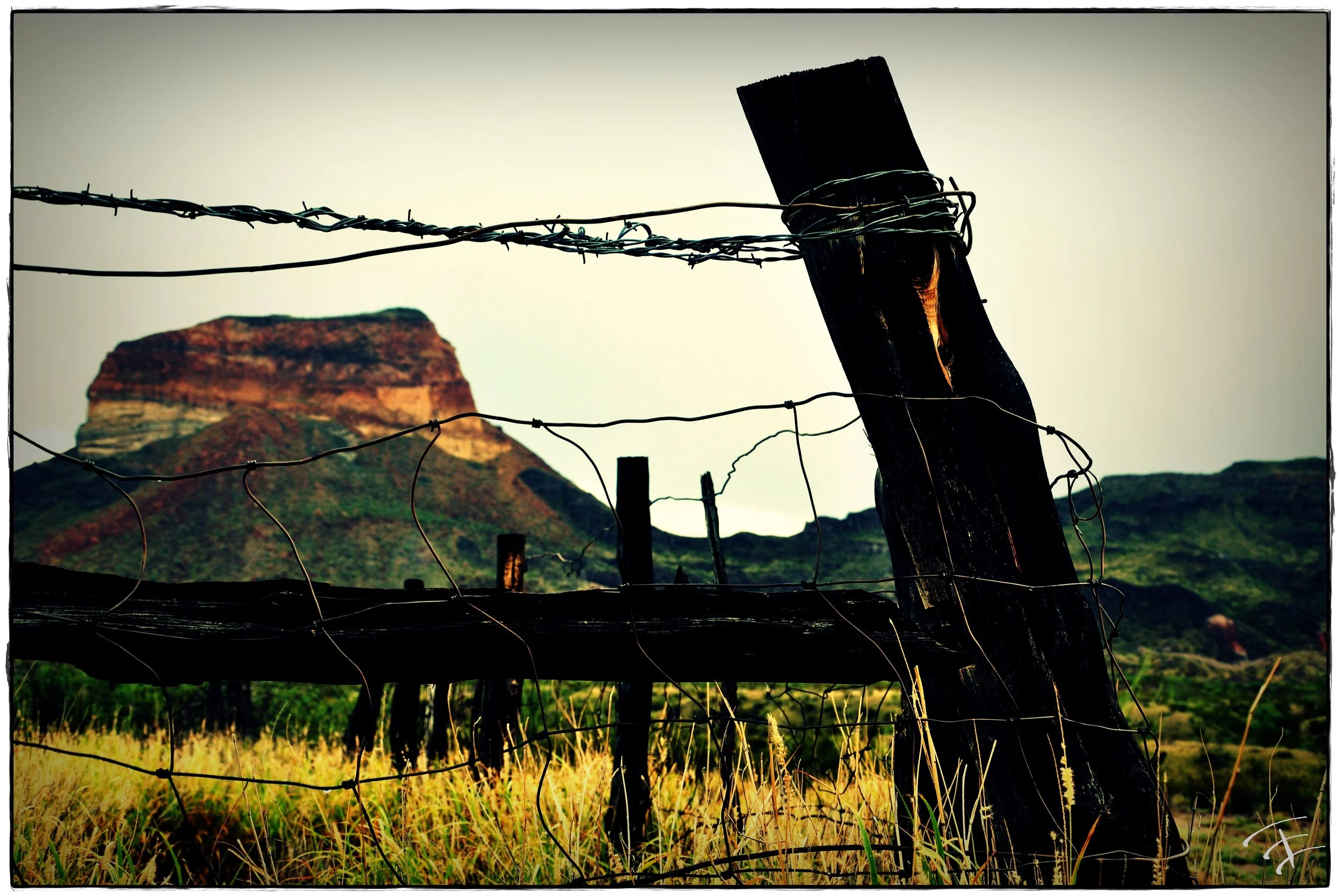 Scenic nature photography by Treavor Evans — Houston Texas