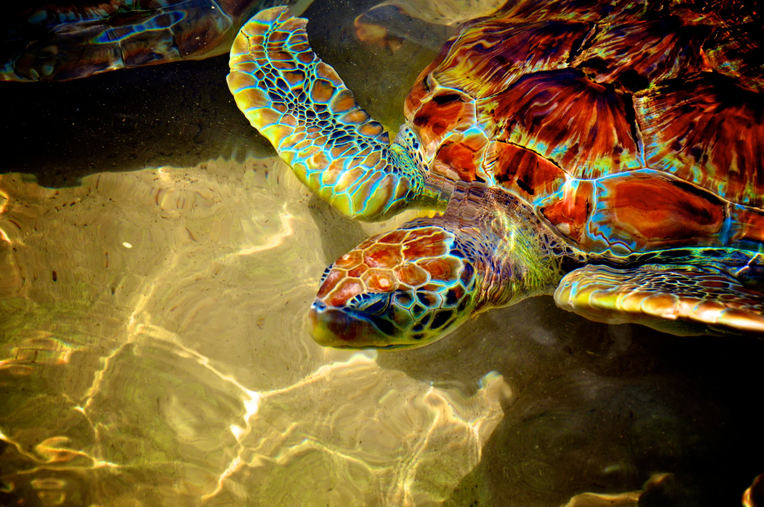 Texas pier photography by Treavor Evans