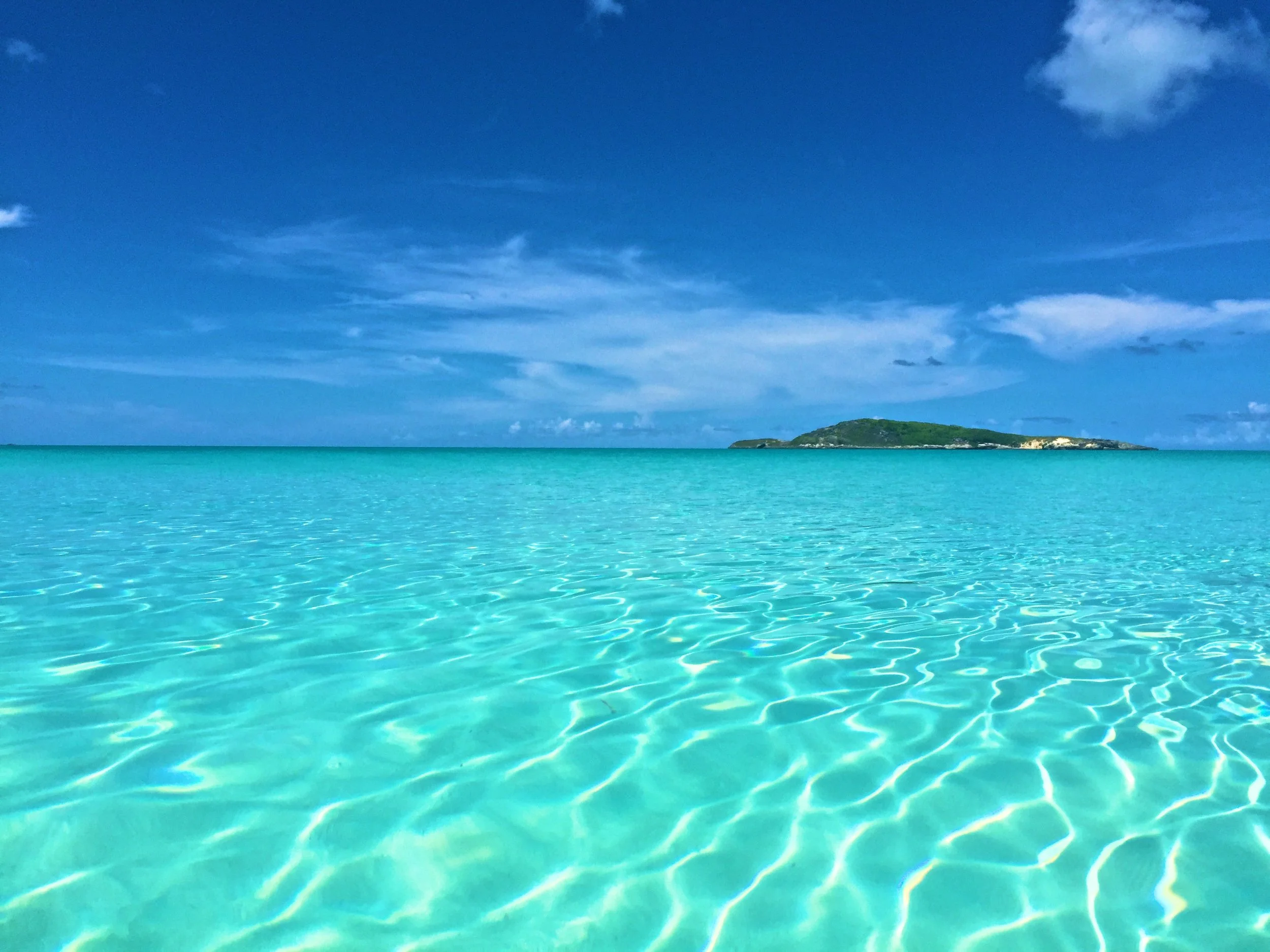 IMG_8734 - Version 2.jpg