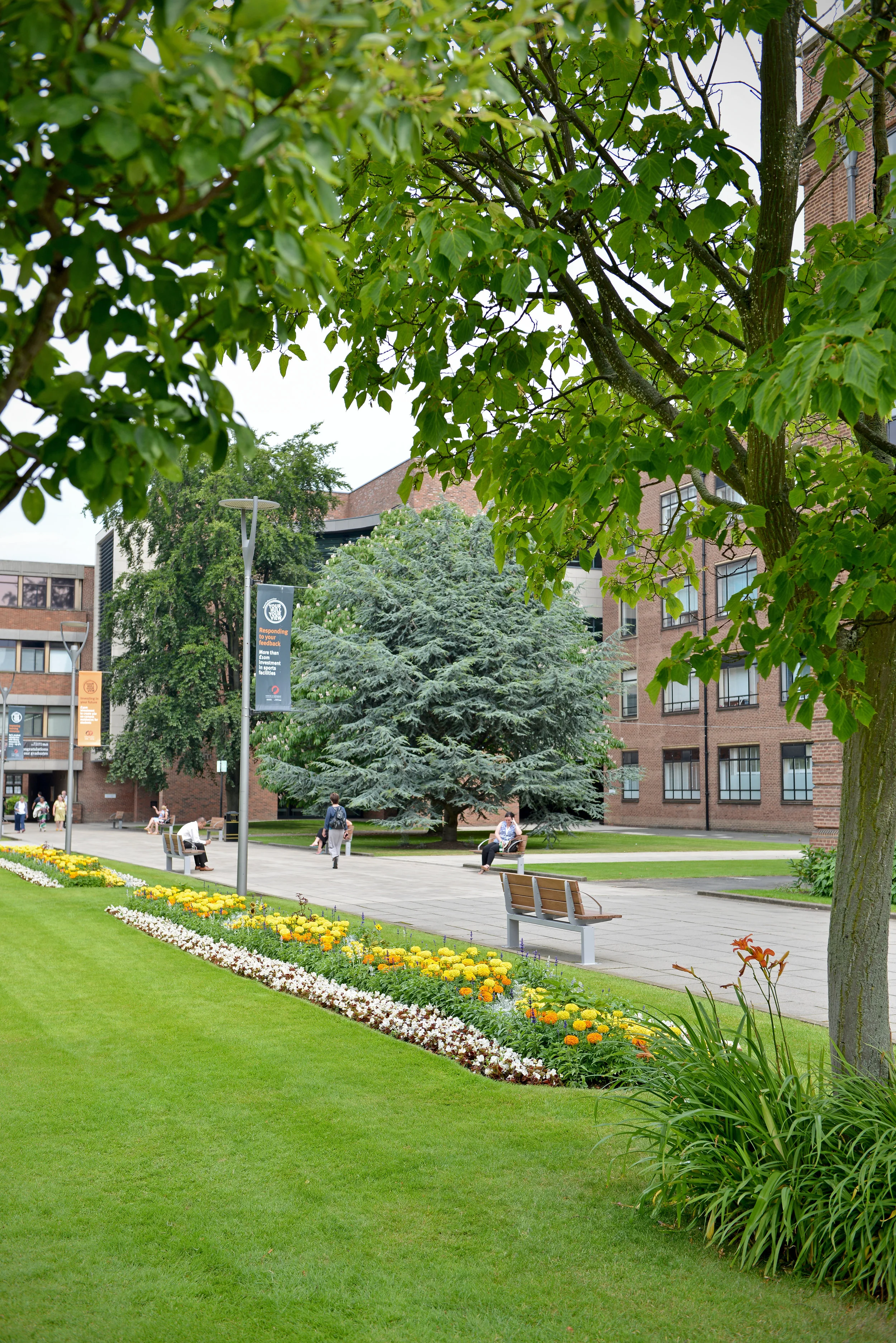 Campus Walkway with Trees and Flowerbeds Portrait UNI_6230.jpg