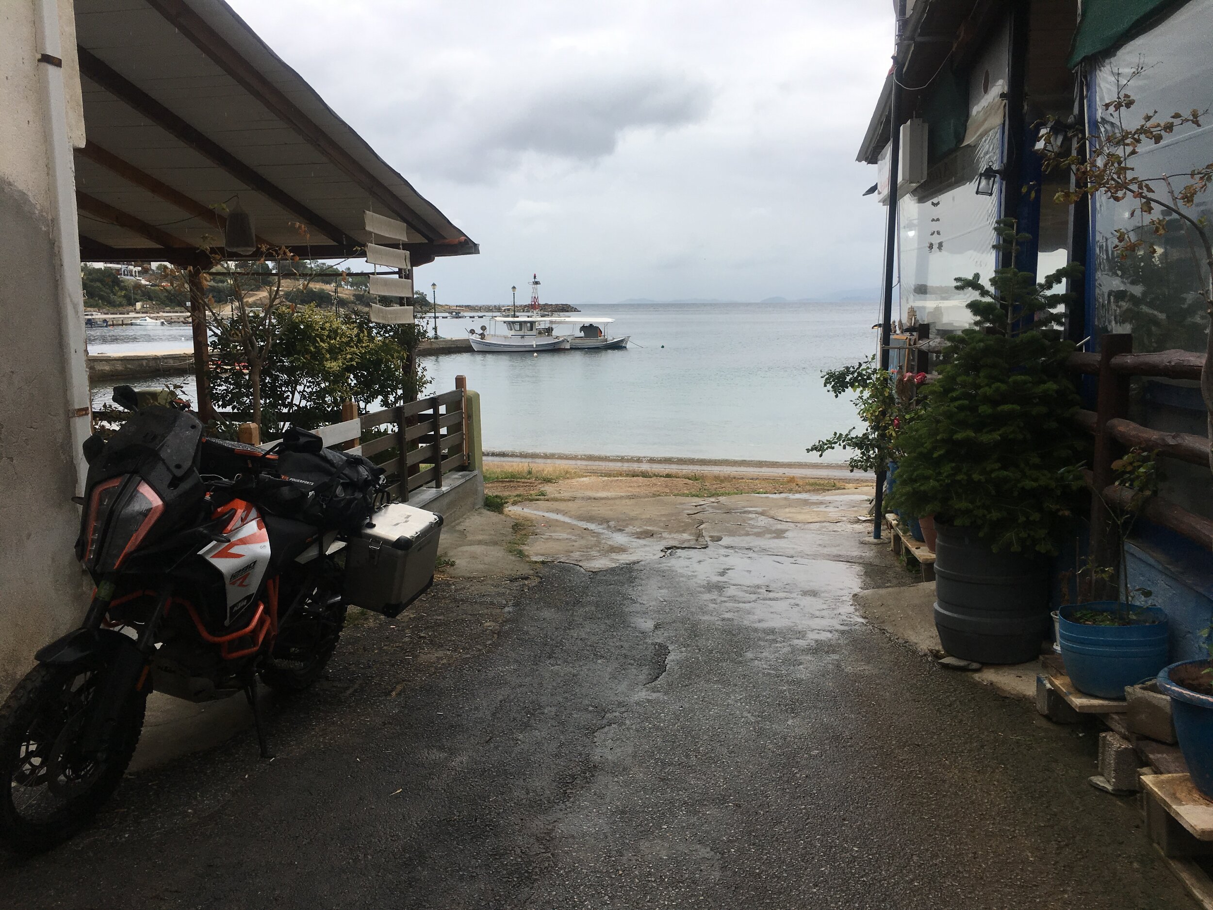 IMG_7168.jpeg
