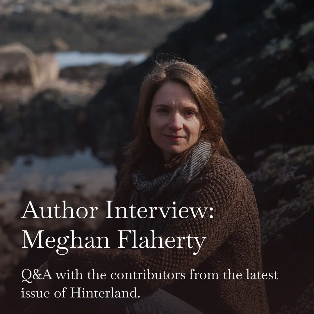 Over at our Substack, we've posted a q&amp;a with Issue 18 author @msmeghanbean (link in bio). We asked her about the her piece, 'Taps':

"I wrote this piece eight years ago, after the birth of my first kid. I wanted to write something for anyon
