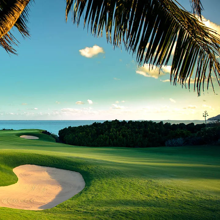 GolfTravelSolutions Golf Clubs-.jpg