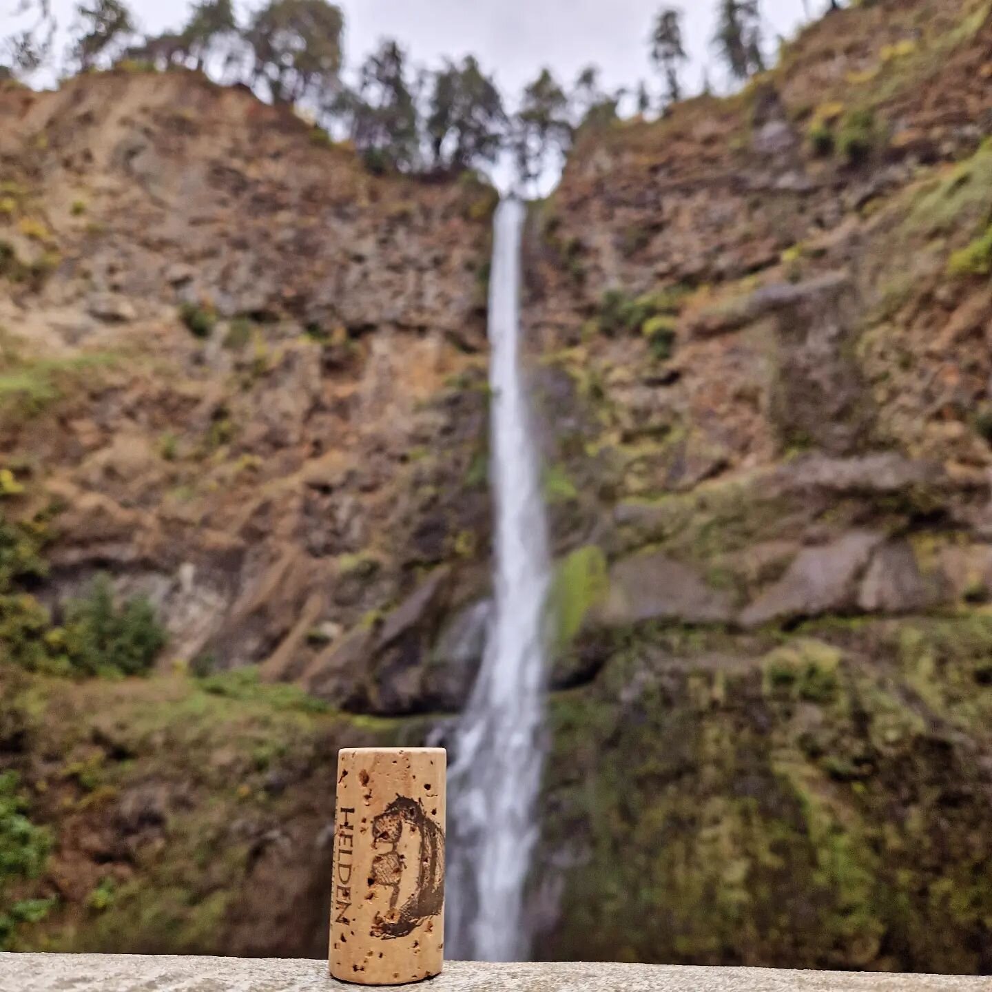 #heldenweingehtumdiewelt #heldenweingoesaroundtheworld
#week291, Multnomah Falls, USA
. 
#heldenderweinberge #helden #wein #wine #austrianwine #weinaus&ouml;sterreich #leithaberg #hochberg #thermenregion #ros&eacute; #neuburger #chardonnay #gemischte