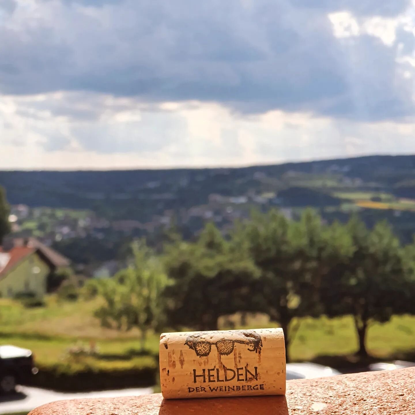 #heldenweingehtumdiewelt #heldenweingoesaroundtheworld
#week294, Wagerberg, Austria 
. 
#heldenderweinberge #helden #wein #wine #austrianwine #weinaus&ouml;sterreich #leithaberg #hochberg #thermenregion #ros&eacute; #neuburger #chardonnay #gemischter