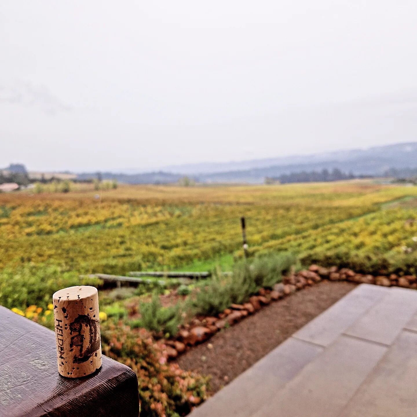 #heldenweingehtumdiewelt #heldenweingoesaroundtheworld
#week303, Bethel Heights, USA
. 
#heldenderweinberge #helden #wein #wine #austrianwine #weinaus&ouml;sterreich #leithaberg #hochberg #thermenregion #ros&eacute; #neuburger #chardonnay #gemischter