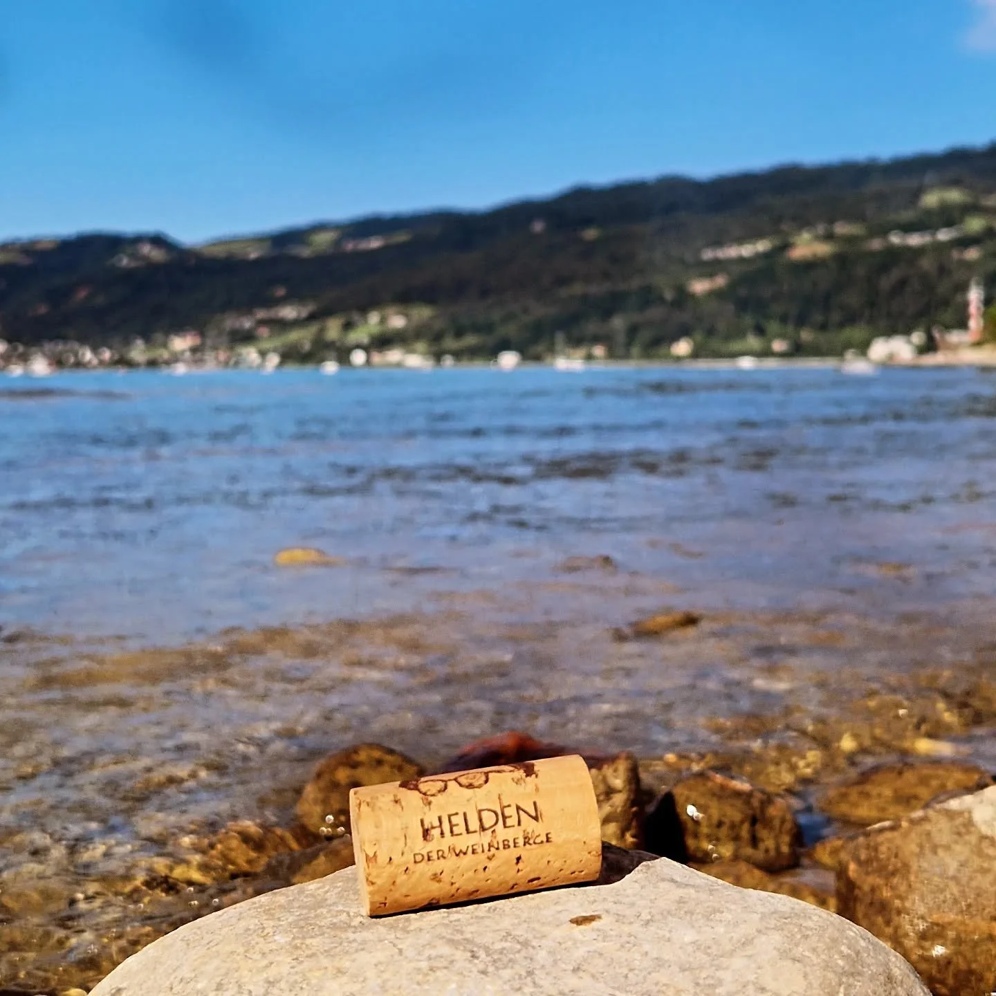 #heldenweingehtumdiewelt #heldenweingoesaroundtheworld
#week373, Bregenz, Austria
. 
#heldenderweinberge #helden #wein #wine #austrianwine #weinaus&ouml;sterreich #leithaberg #hochberg #thermenregion #ros&eacute; #neuburger #chardonnay #gemischtersat