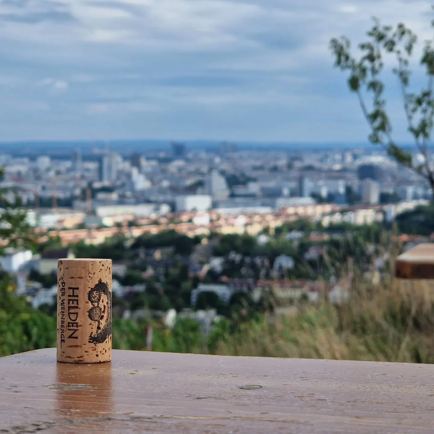 #heldenweingehtumdiewelt #heldenweingoesaroundtheworld
#week377, Nussberg, Vienna, Austria 
. 
#heldenderweinberge #helden #wein #wine #austrianwine #weinaus&ouml;sterreich #leithaberg #hochberg #thermenregion #ros&eacute; #neuburger #chardonnay #gem