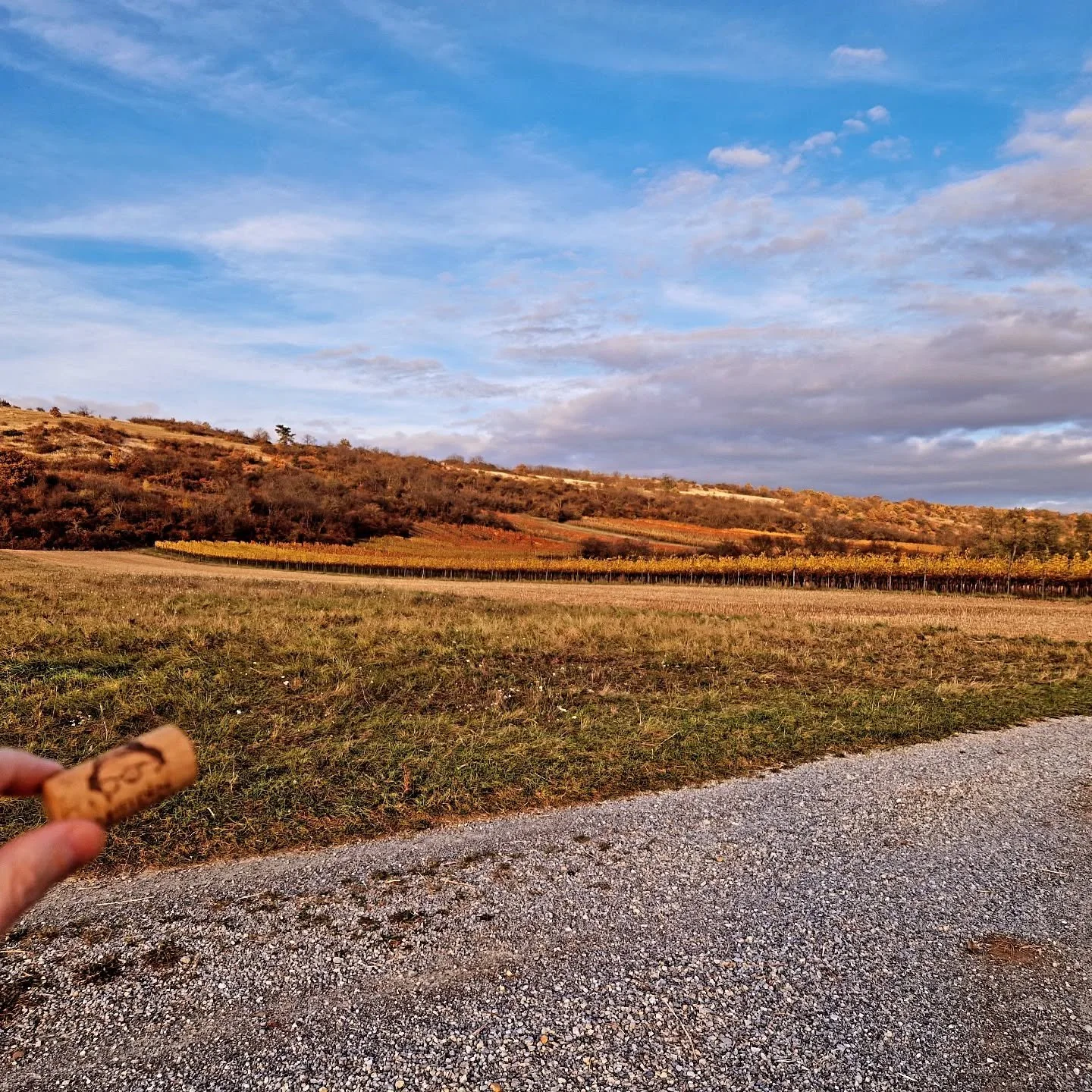 #heldenweingehtumdiewelt #heldenweingoesaroundtheworld
#week388, Spitzerberg, Austria 
. 
#heldenderweinberge #helden #wein #wine #austrianwine #weinaus&ouml;sterreich #leithaberg #hochberg #thermenregion #ros&eacute; #neuburger #chardonnay #gemischt