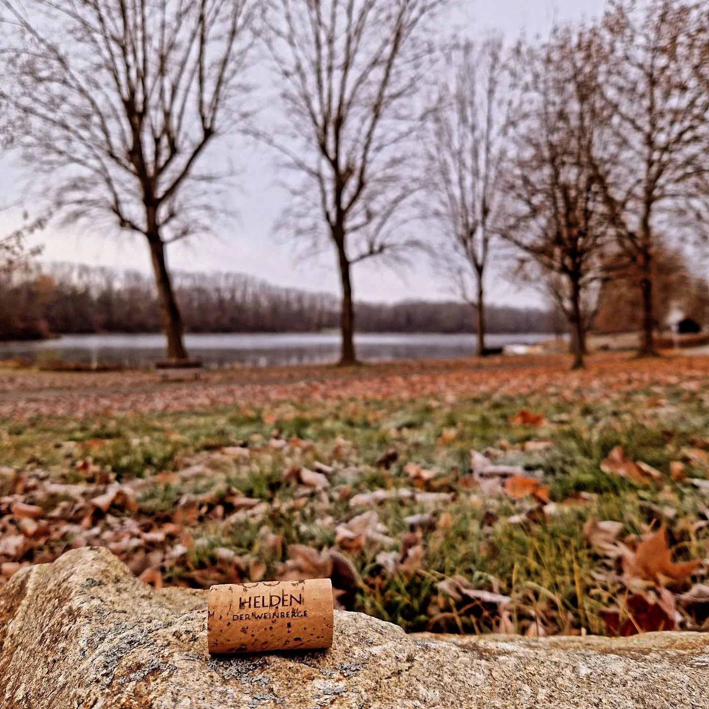 #heldenweingehtumdiewelt #heldenweingoesaroundtheworld
#week389, Weitenegg, Austria 
. 
#heldenderweinberge #helden #wein #wine #austrianwine #weinaus&ouml;sterreich #leithaberg #hochberg #thermenregion #ros&eacute; #neuburger #chardonnay #gemischter
