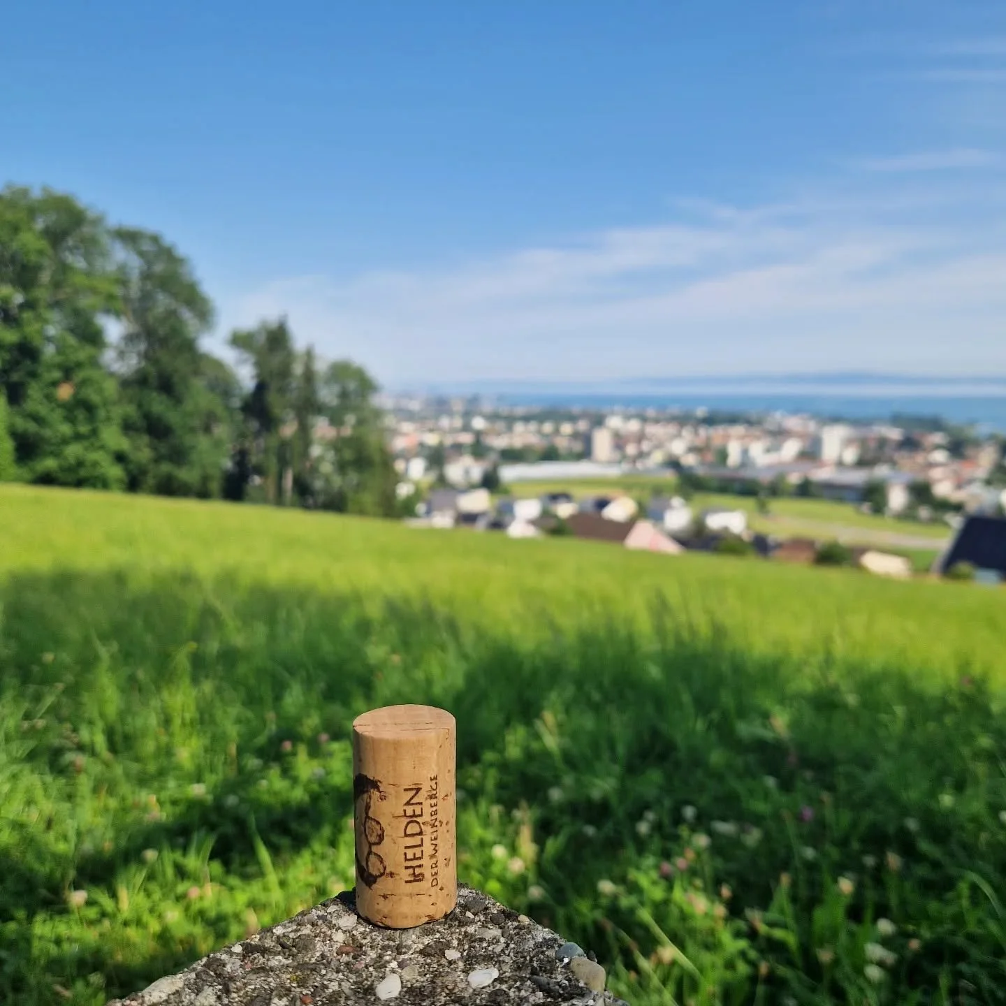 #heldenweingehtumdiewelt #heldenweingoesaroundtheworld
#week390, Goldach, Switzerland 
. 
#heldenderweinberge #helden #wein #wine #austrianwine #weinaus&ouml;sterreich #leithaberg #hochberg #thermenregion #ros&eacute; #neuburger #chardonnay #gemischt