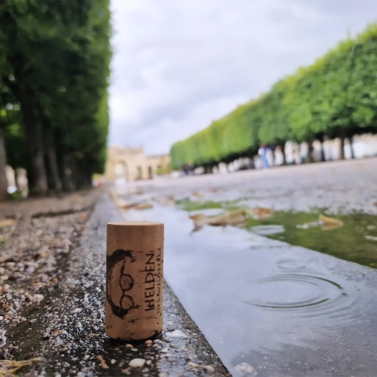#heldenweingehtumdiewelt #heldenweingoesaroundtheworld
#week394, Nancy, France
. 
#heldenderweinberge #helden #wein #wine #austrianwine #weinaus&ouml;sterreich #leithaberg #hochberg #burgenland #thermenregion #ros&eacute; #neuburger #chardonnay #gemi