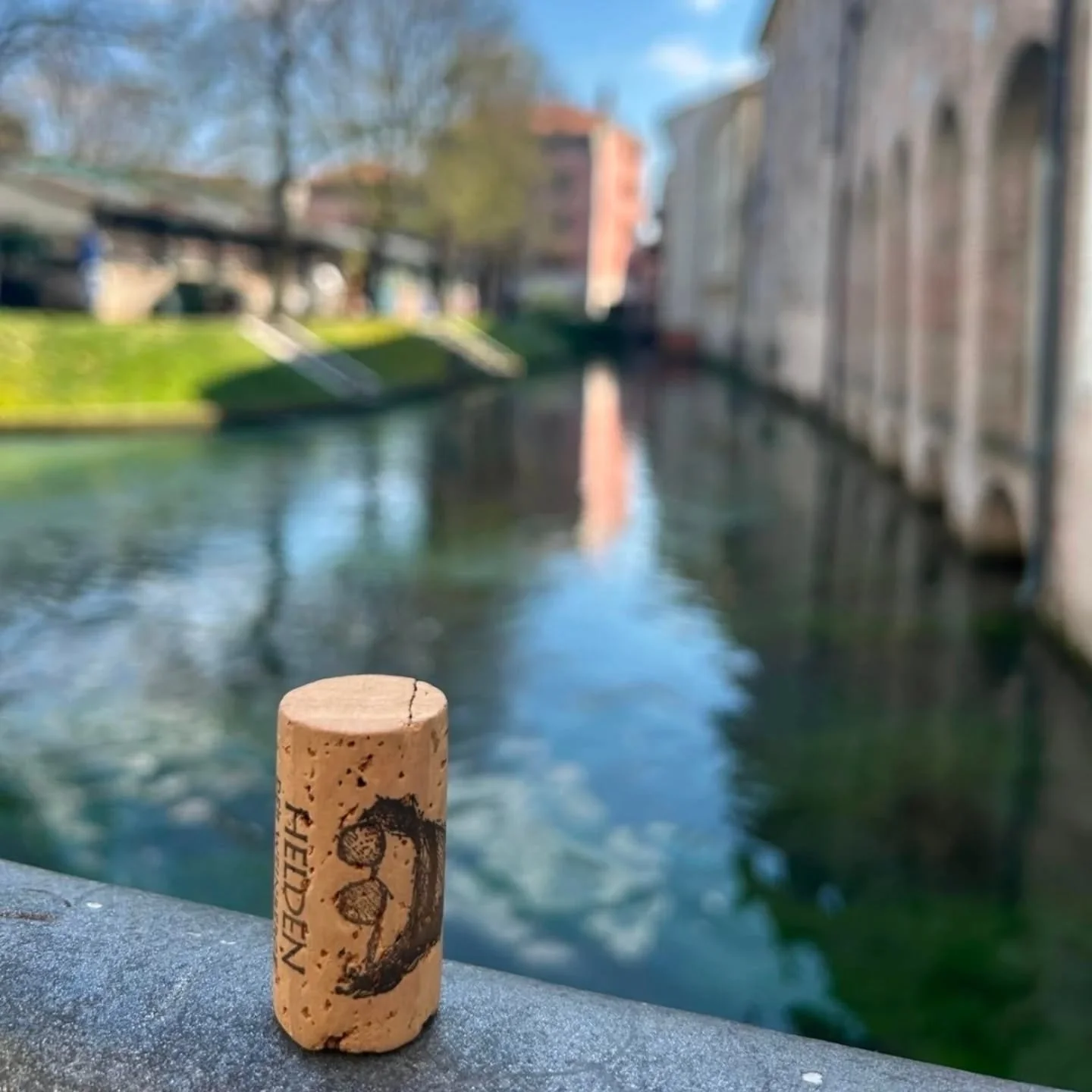 #heldenweingehtumdiewelt heldenweingoesaroundtheworld
week407, Treviso, Italy
. 
#heldenderweinberge #helden wein wine #austrianwine #weinaus&ouml;sterreich leithaberg hochberg burgenland thermenregion ros&eacute; neuburger chardonnay gemischtersatz 