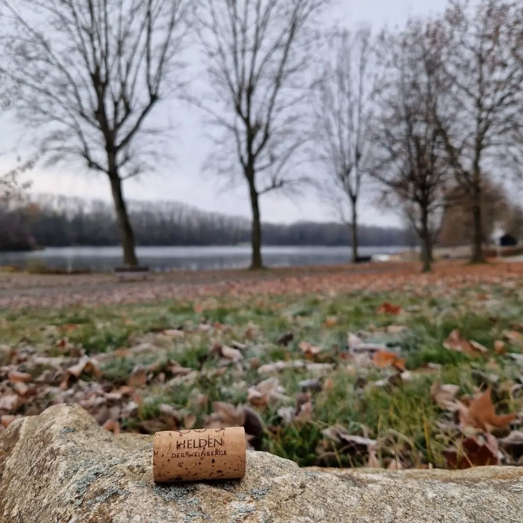 #heldenweingehtumdiewelt heldenweingoesaroundtheworld
week422, Weitenegg, Austria 
. 
#heldenderweinberge #helden wein wine #austrianwine #weinaus&ouml;sterreich leithaberg hochberg burgenland thermenregion ros&eacute; neuburger chardonnay gemischter