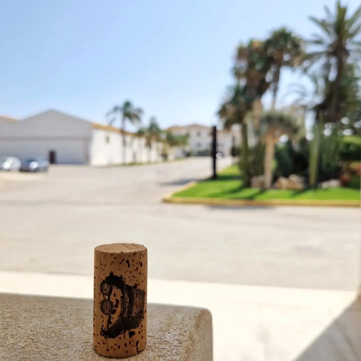 #heldenweingehtumdiewelt heldenweingoesaroundtheworld
week426, Marsala, Italy

#heldenderweinberge #helden wein wine #austrianwine #weinaus&ouml;sterreich leithaberg hochberg burgenland thermenregion ros&eacute; neuburger chardonnay gemischtersatz bl