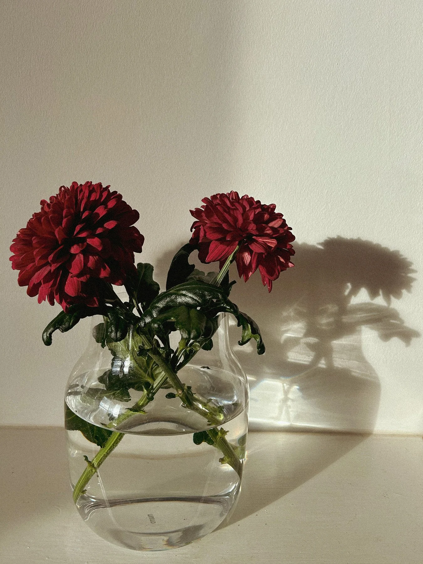 Red flowers in a glass vase sat on a white fireplace mantelpiece.
