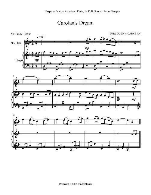 Songbook Per Armonica - American Folk Songs: Spartiti Per Musica Folk - Foto 9