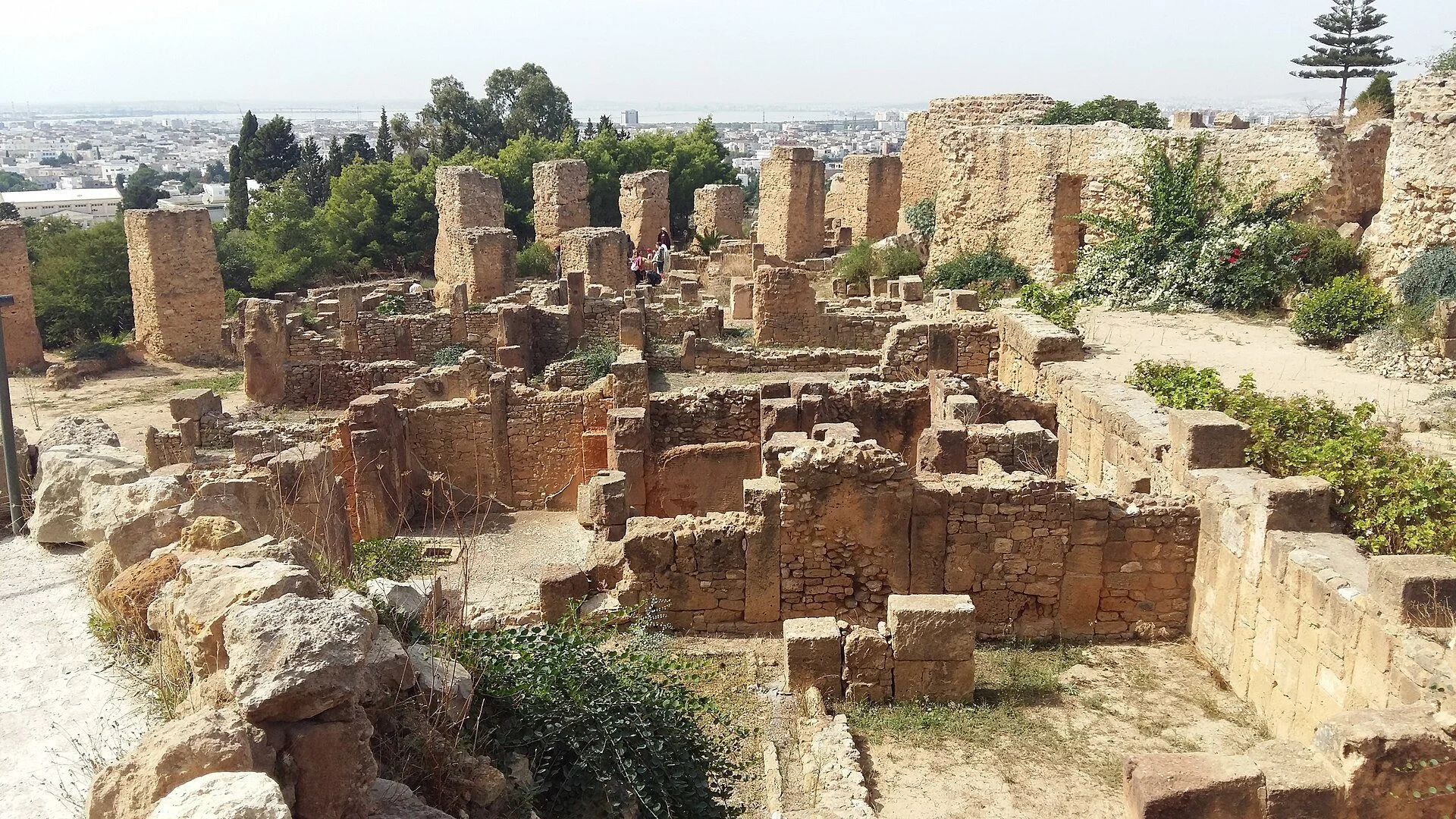 Viaggio studio in Tunisia