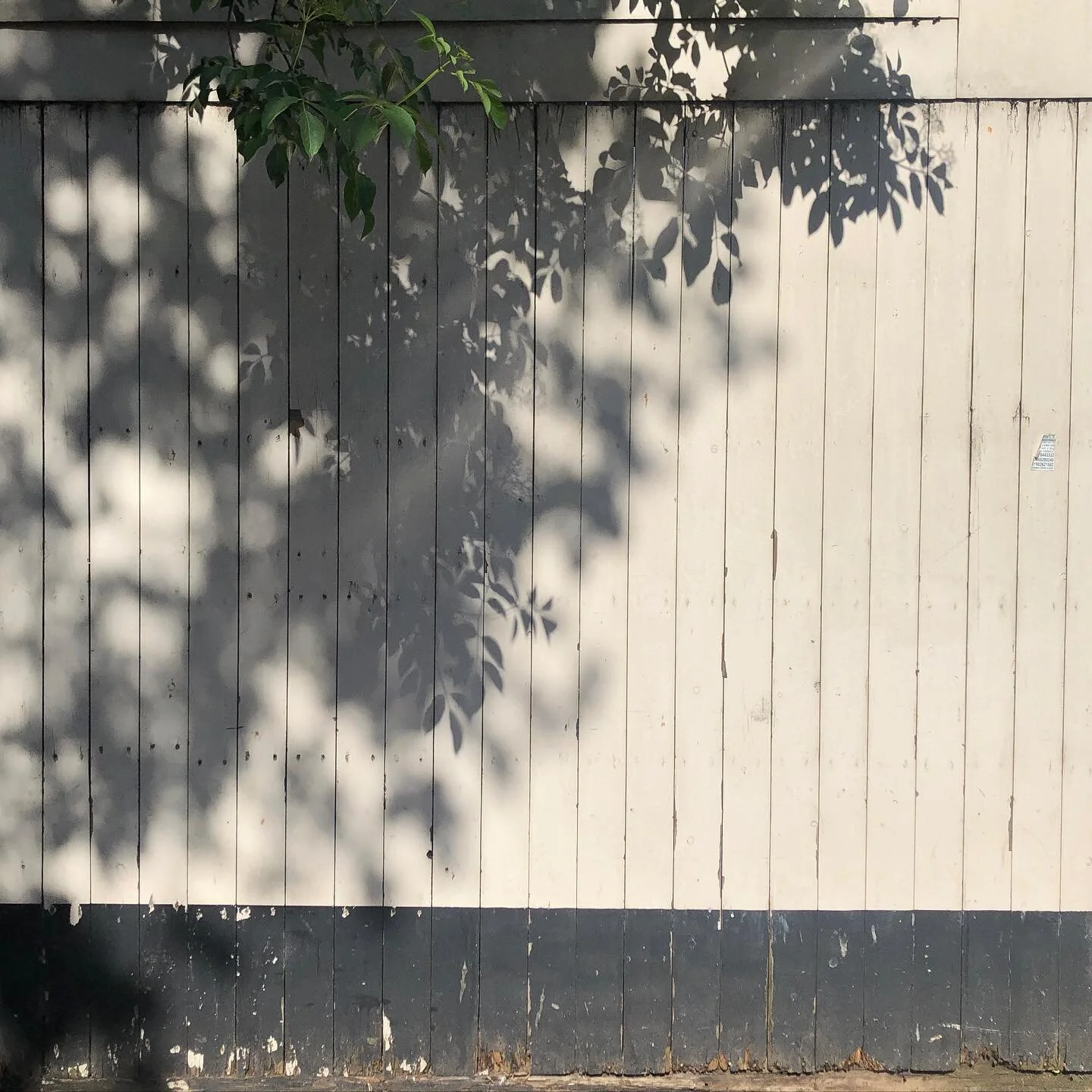 trio of shadows in Bulwell (1/3)