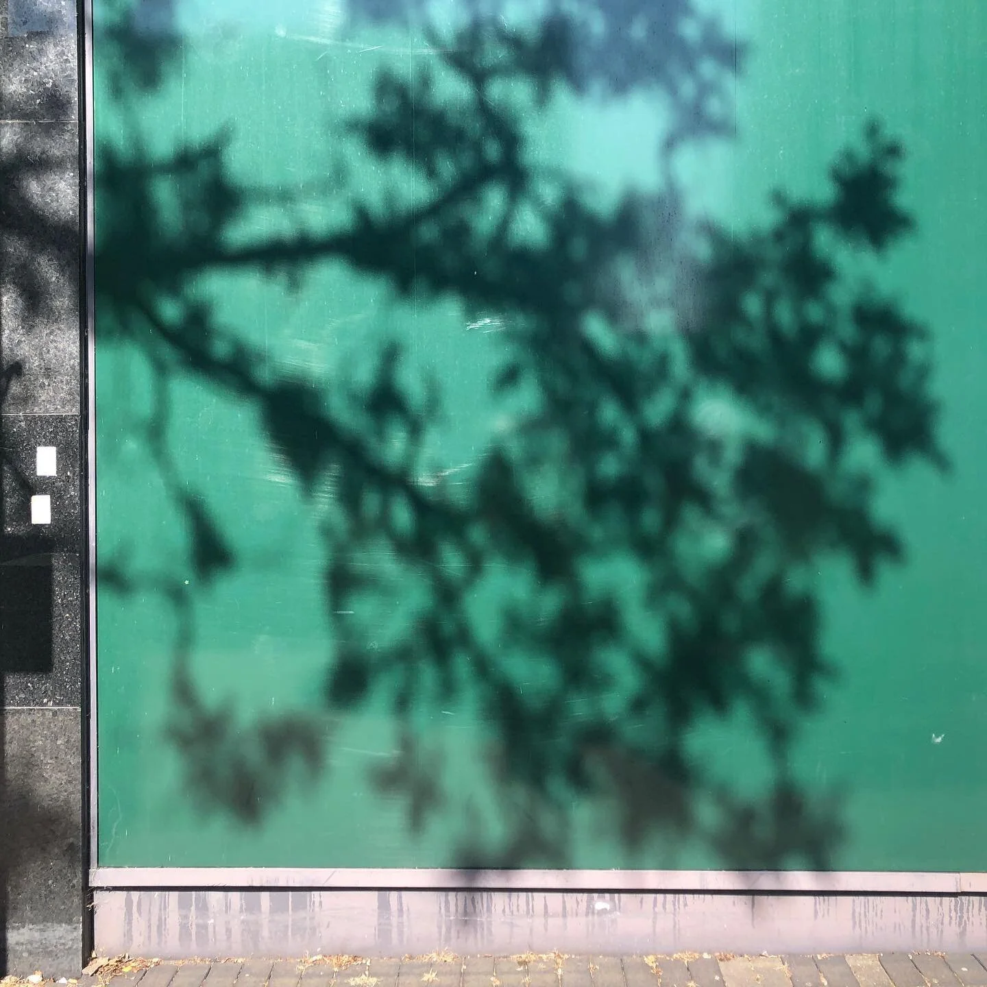 trio of shadows in Bulwell (3/3)