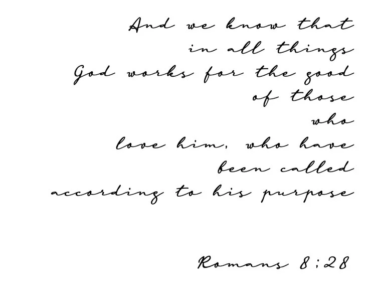 95F3958F-3706-4943-A21C-8F67EEF3F357