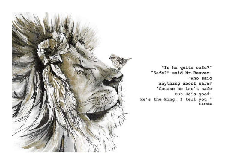 5A50F5D1-AFFD-40A7-8947-A64C539D3077