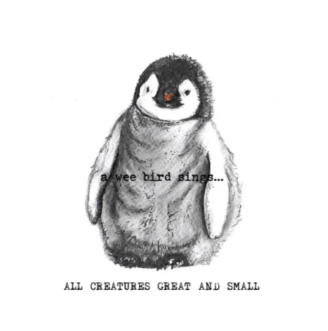 4D3EF37F-553A-41B8-B347-CE0F9694E1D0