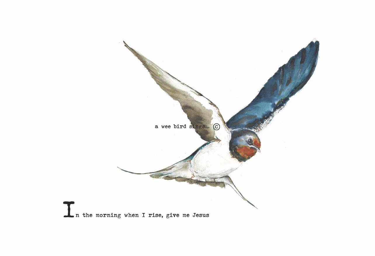 F885D0DA-585C-4C1F-9994-D7D62B31A92A