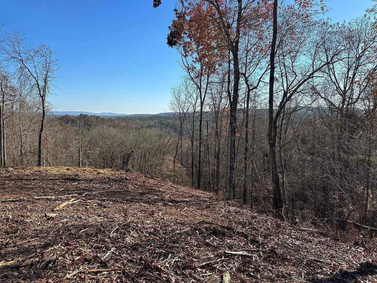 New project site: 3 acres in north Georgia 😍🌳🪵🍁🐿️ 

Spring 2024
