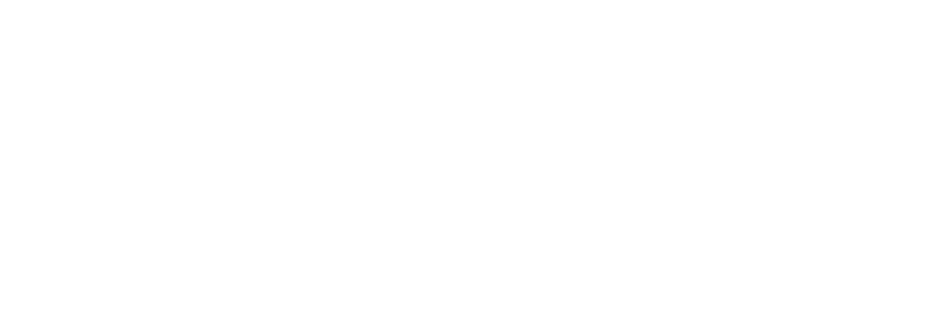 Kristy Link