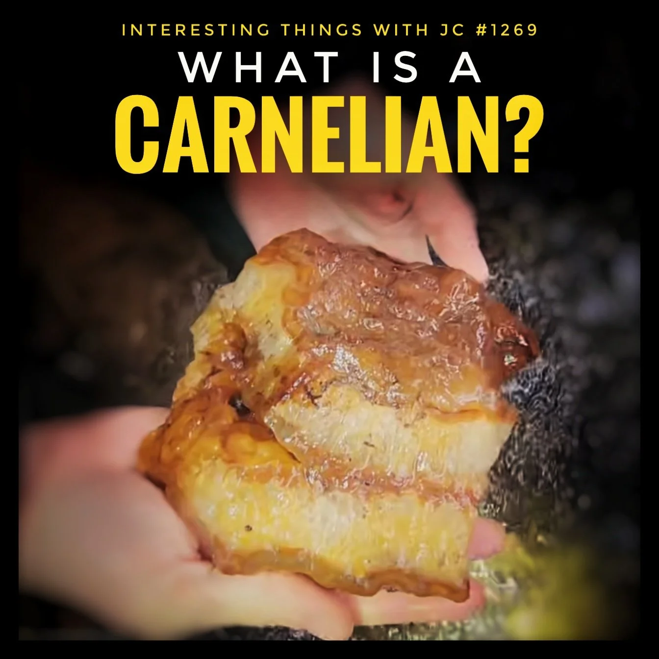 1269: "What Is a Carnelian?"