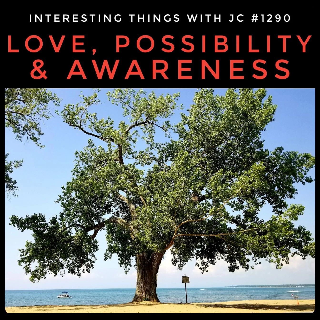 1290: "Love, Possibility, & Awareness"