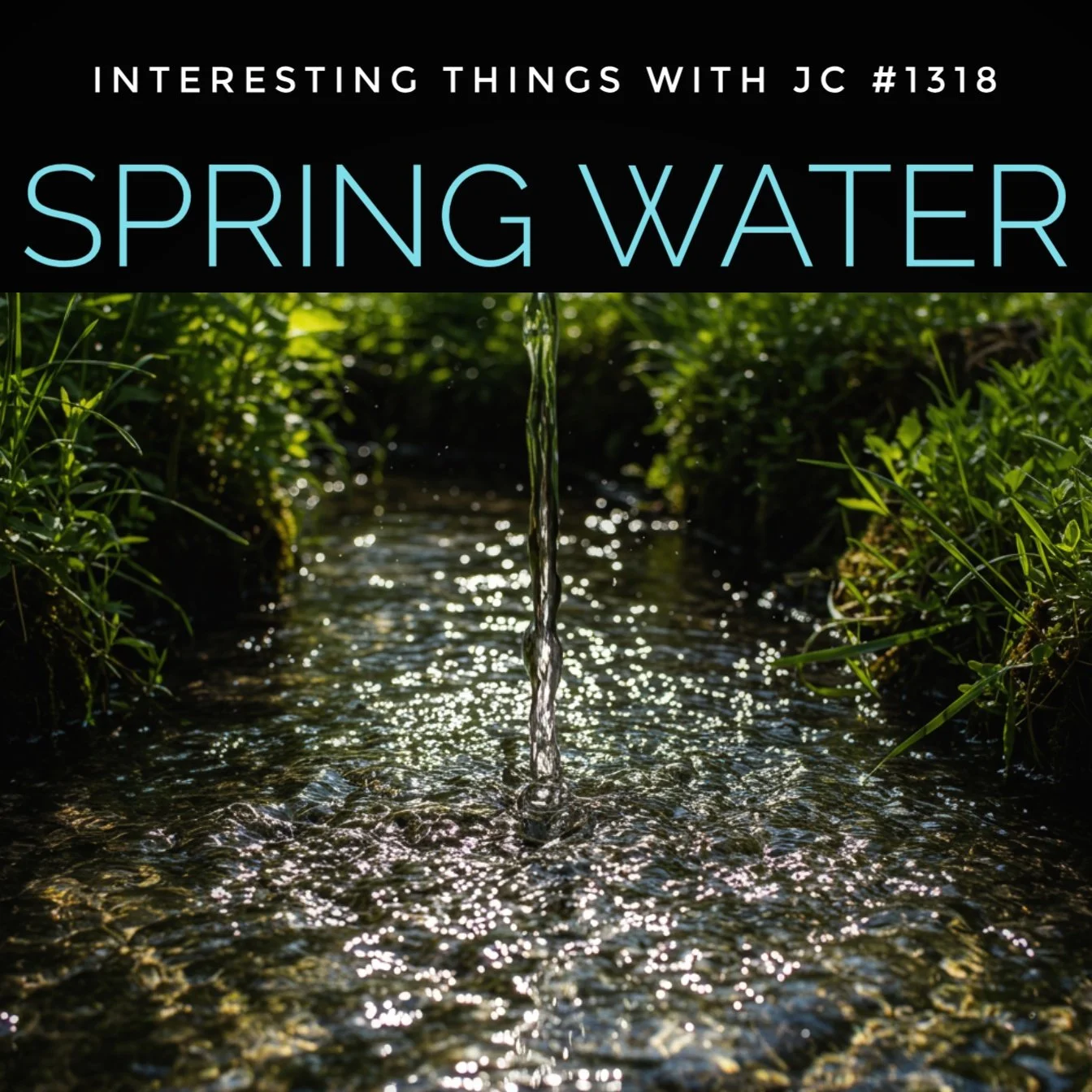 1318: "Spring Water"