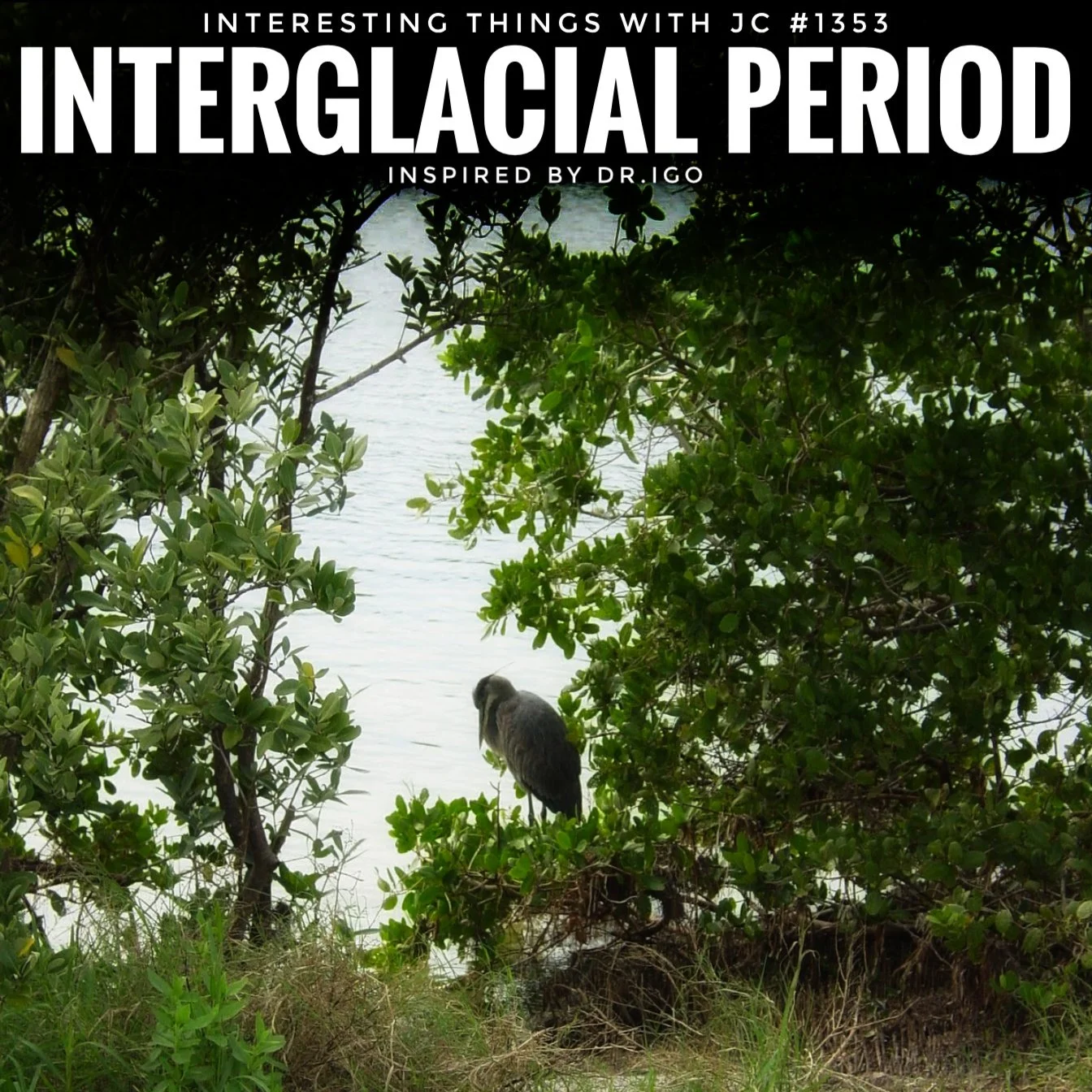 1353: "Interglacial Period"