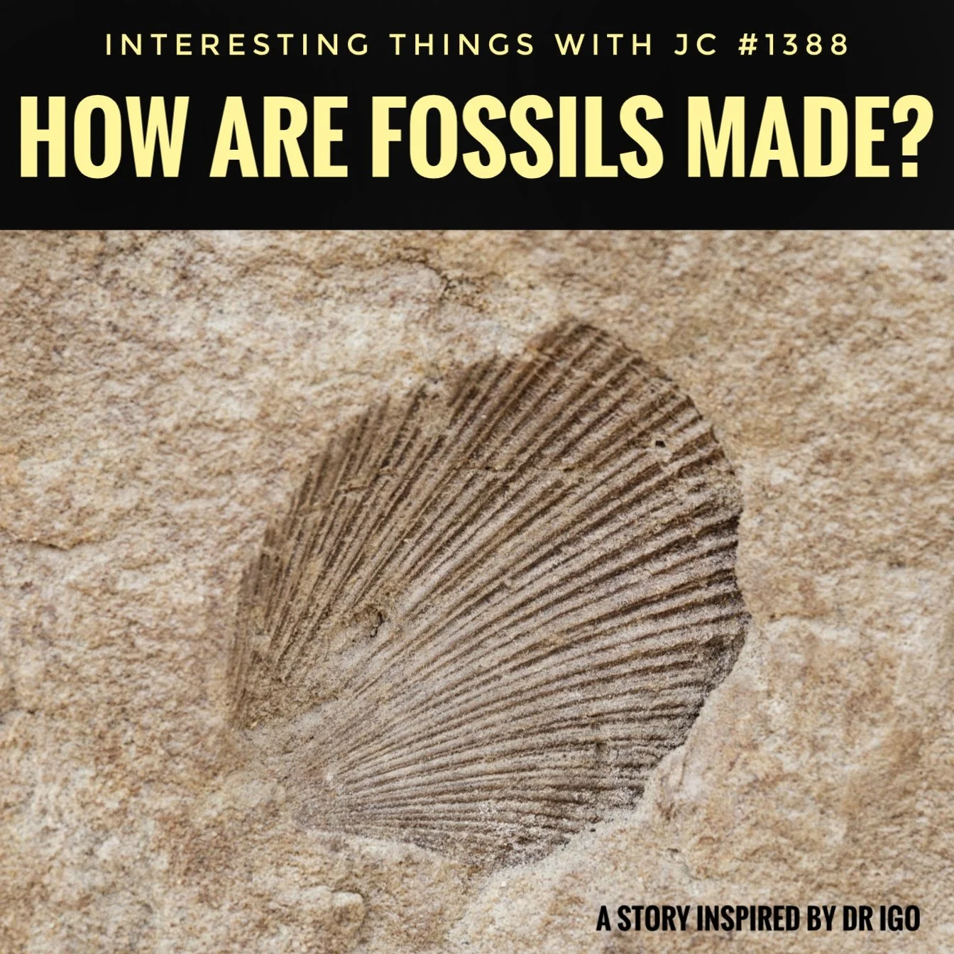1388: "How are Fossils Made?"