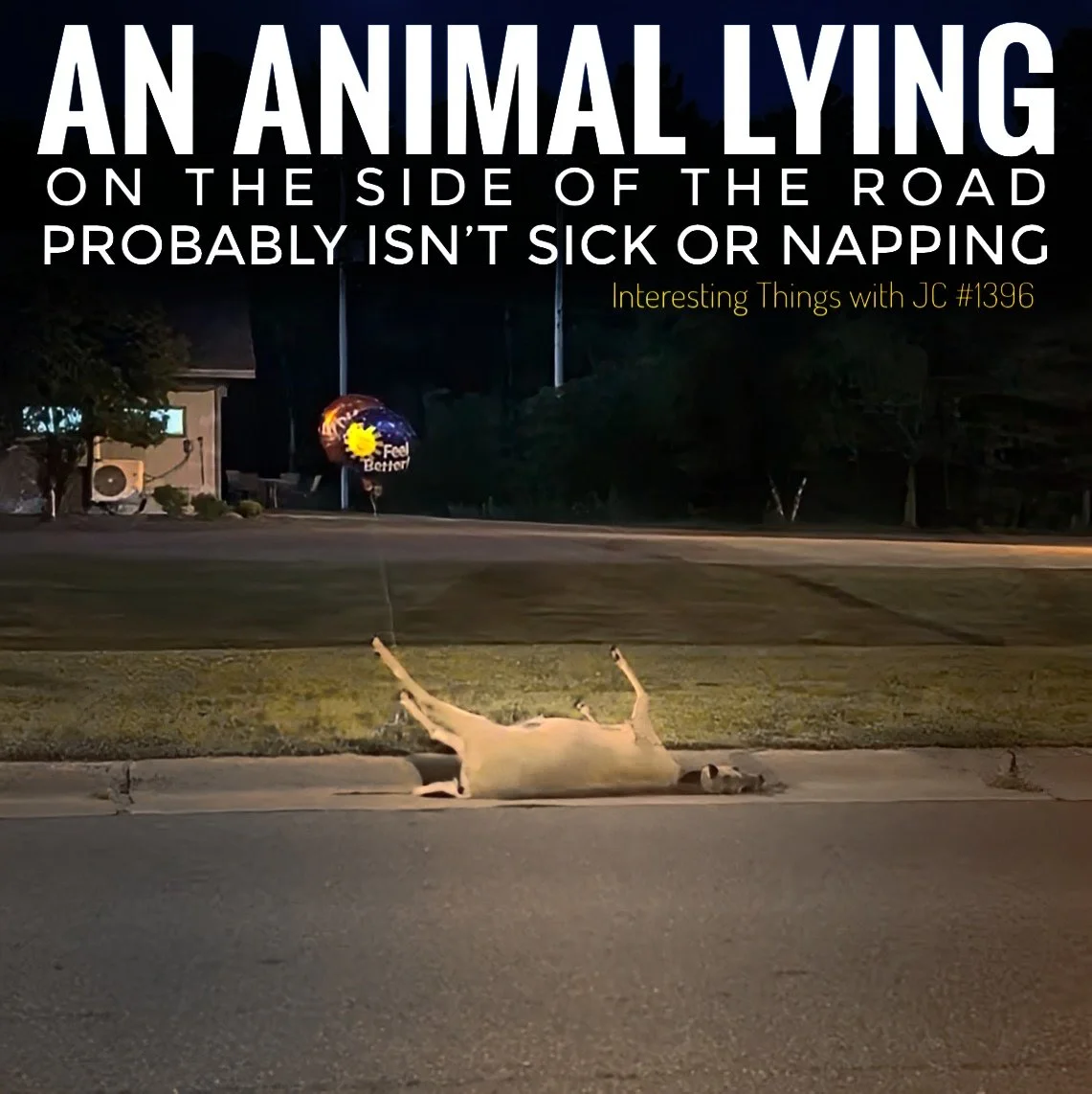 1396: "An Animal Lying on the Side of the Road Probably Isn’t Sick or Napping"