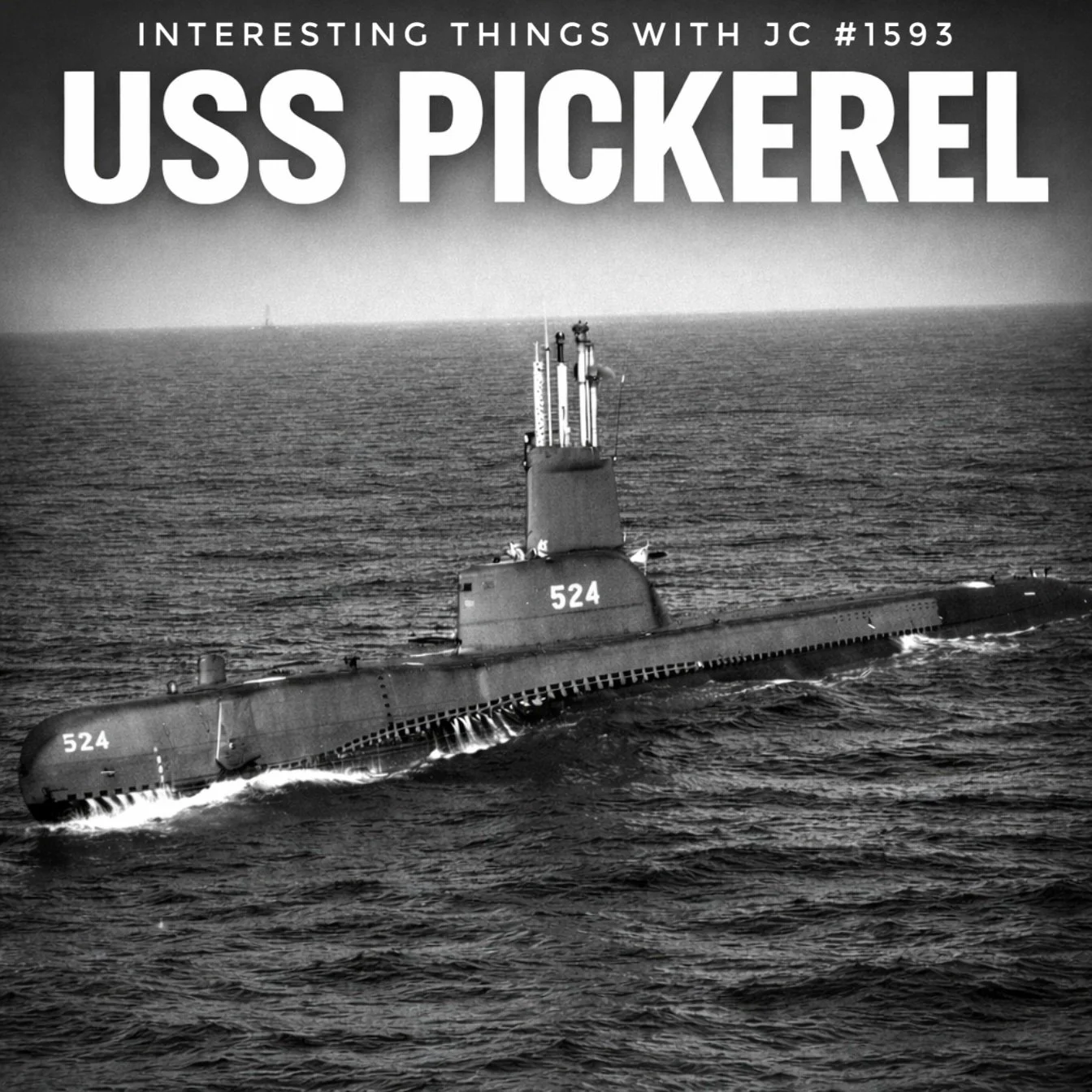1593: "USS Pickerel" 
