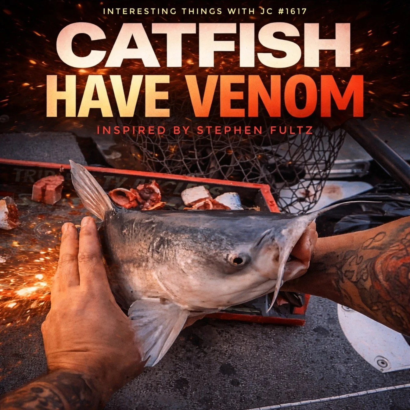 1617: "Catfish Have Venom"