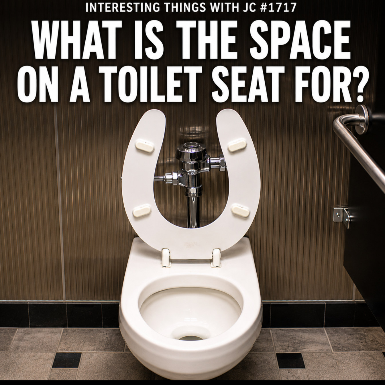 1718: "Why Is There a Gap in the Toilet Seat?" 