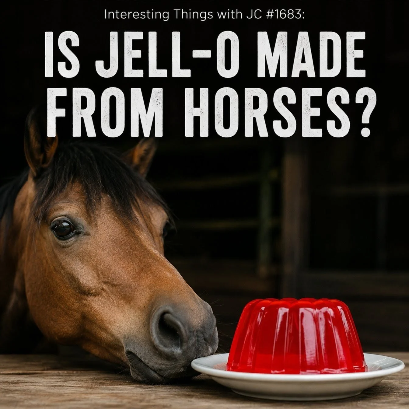 1683: "Is Jell-O Made from Horses?" episode artwork