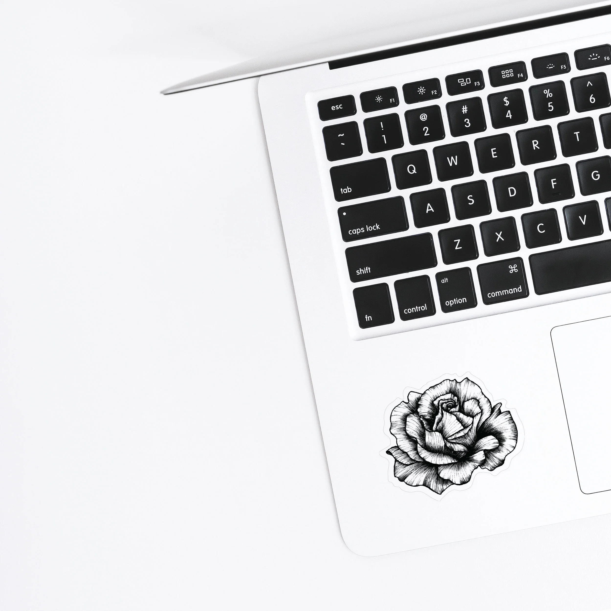 Laptop_Rose_Sq.jpg