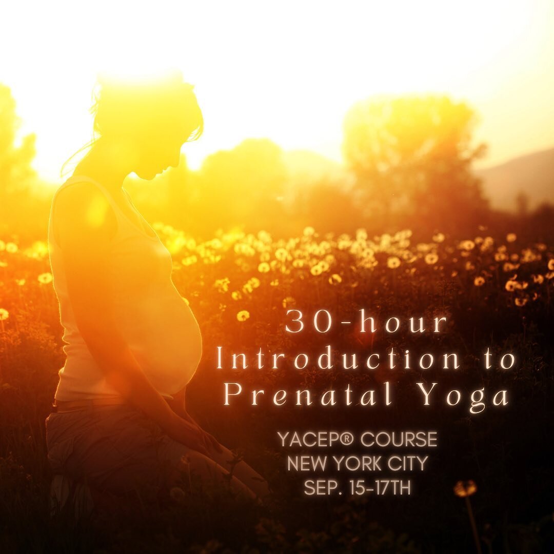 Enrollment is open until&hellip;

✨Friday, September 8th✨

Join me for this deep weekend immersion into all things Prenatal Yoga&hellip;

Even if you don&rsquo;t plan to teach prenatal yoga, knowing how to support and provide options for pregnant fol