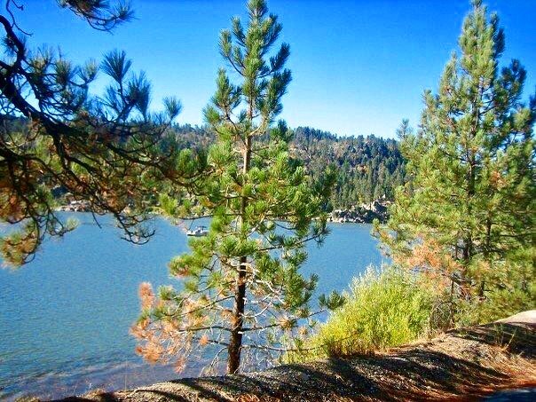 Happy Halloween🎃 I think it&rsquo;s time for a little getaway... book your stay here in Big Bear today! Check out the link in our bio.
&bull;
&bull;
&bull;
&bull;
&bull;
#bigbear #cabin #airbnb #rent #homeforrent #instalike #hike #nature #beautiful 