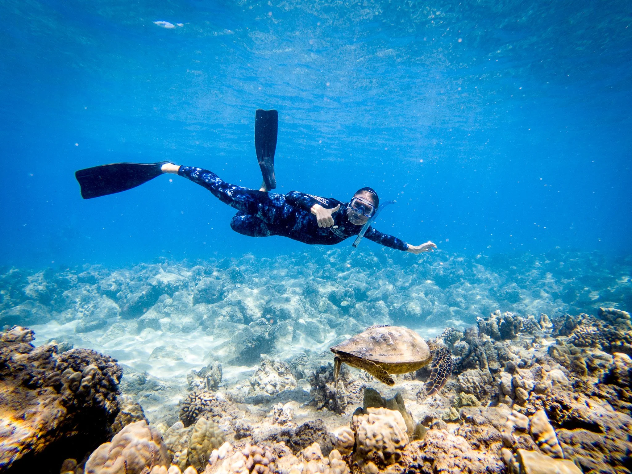 Turtle + K-1.JPG