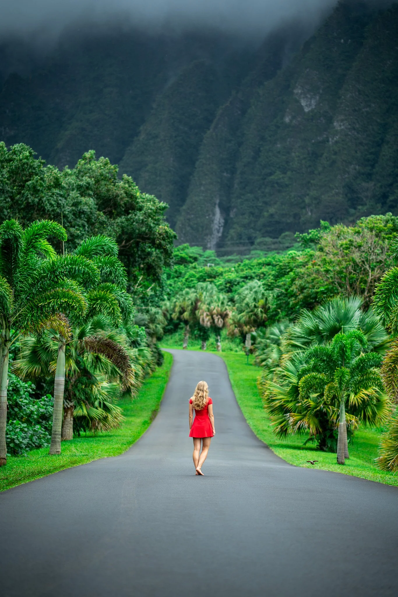 Hidden Gems and Unique Experiences on Oahu