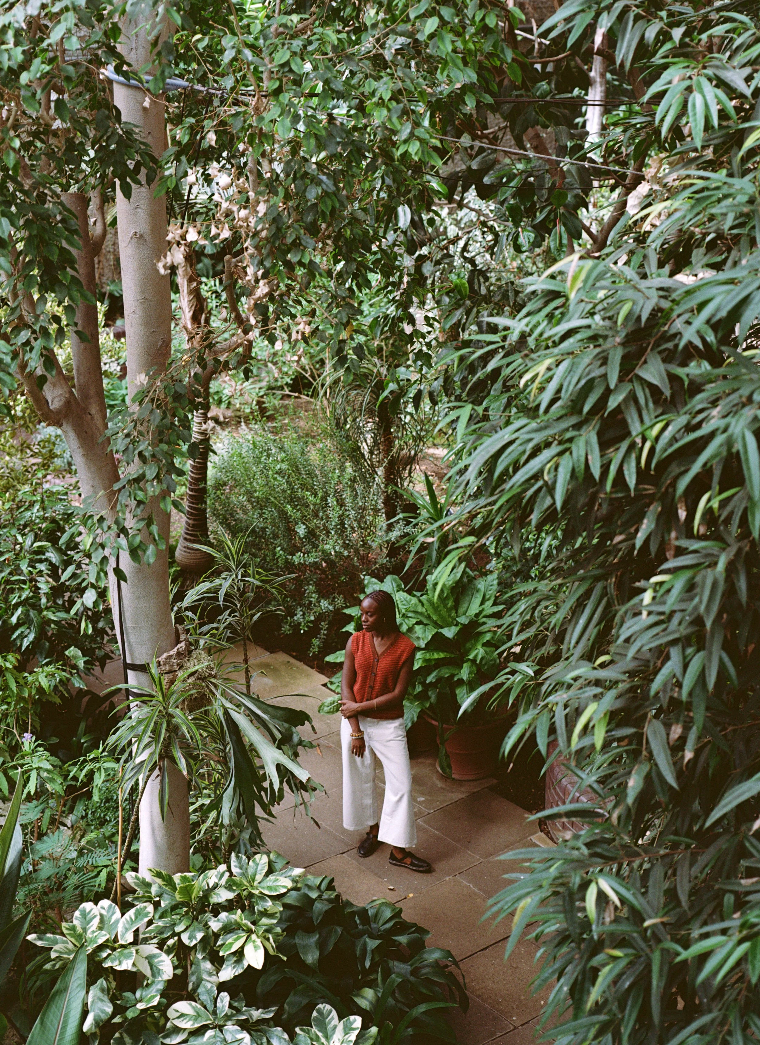 Alayo Akinkugbe
