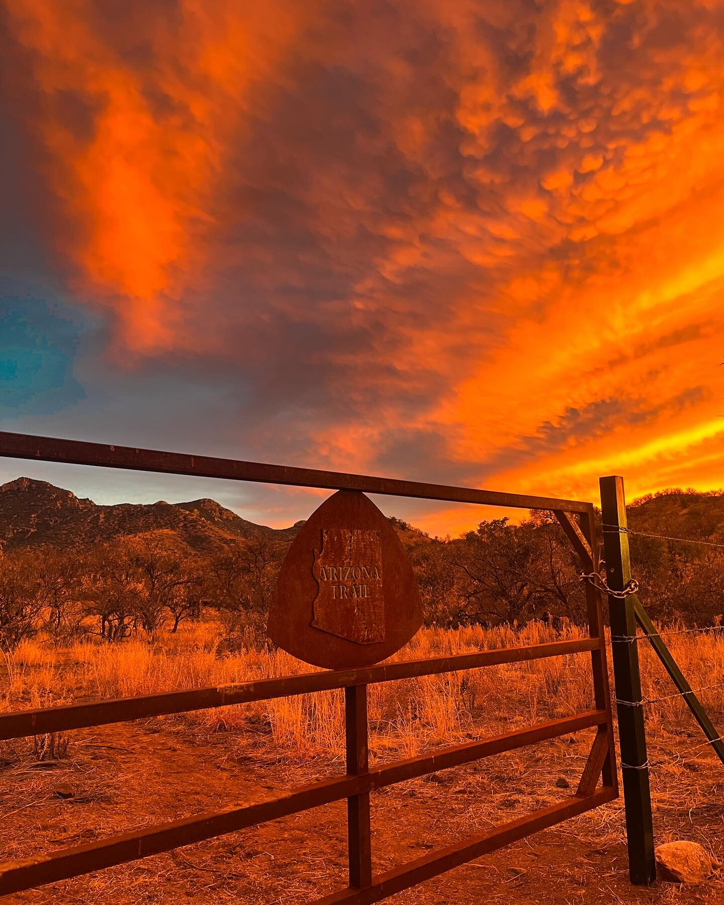 The things I remembered I ❤️ while bikepacking the Sky Islands + AZT loop with @evelynd11 and @rosekgrant - in photos. 

1. Arizona sky. (unfiltered!)
2. Bivying out on the ground, even when sleep is punctuated by coyote yips circling around us and n