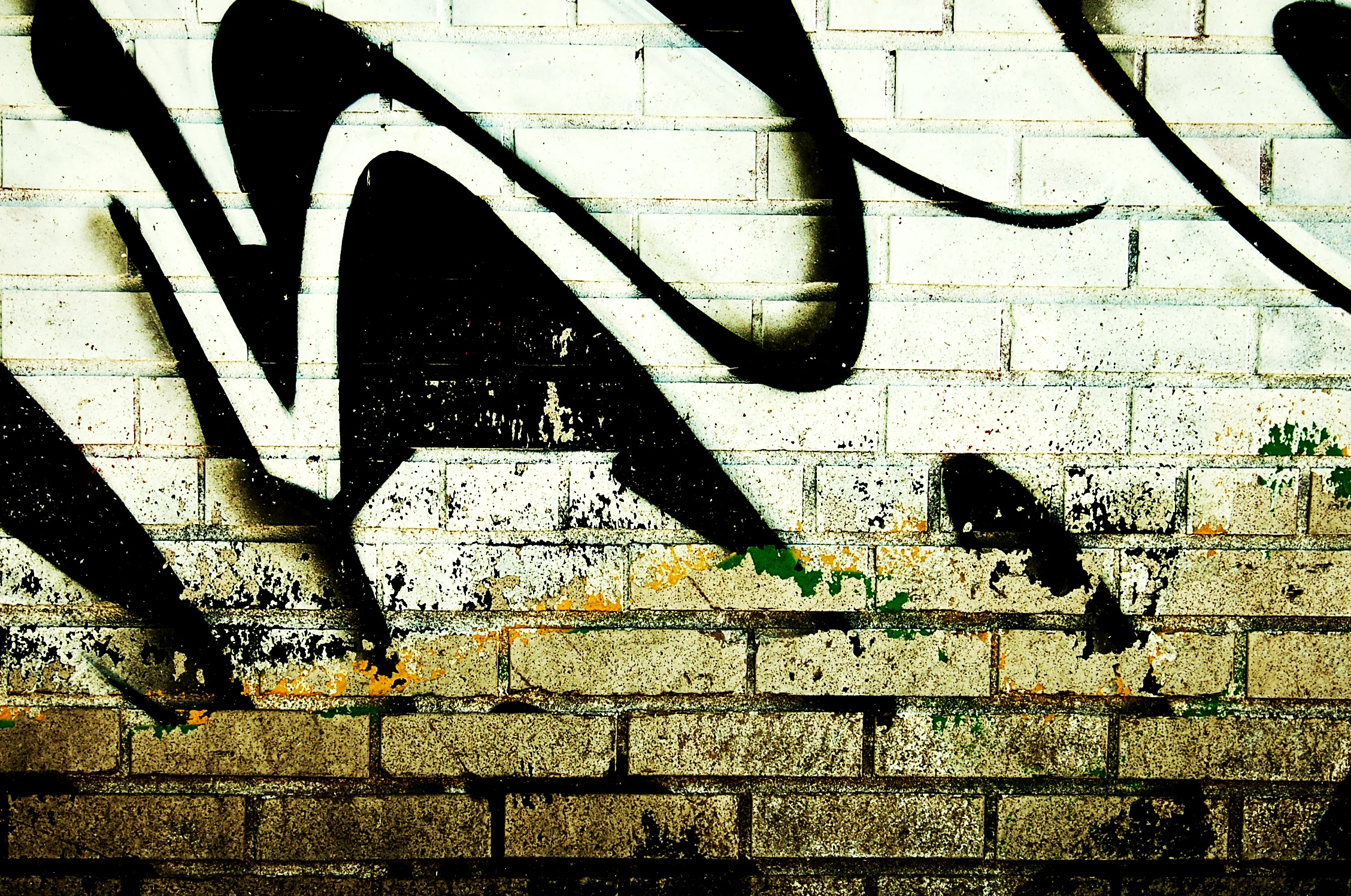 DSC_0050-1.jpg